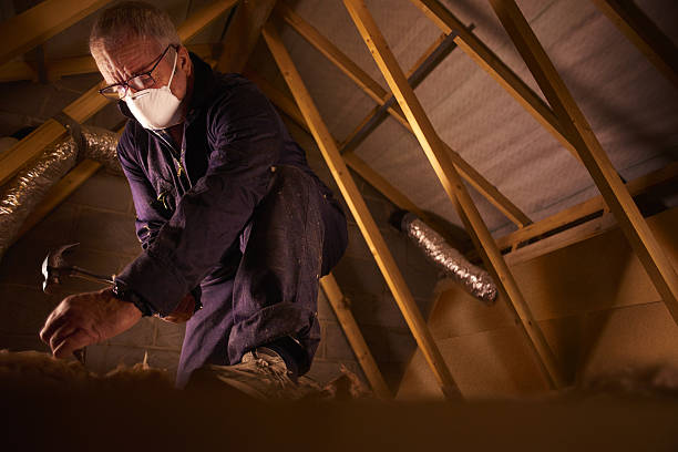 Best Commercial Insulation in Shenandoah Junction, WV